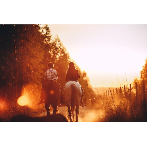 Rutas a caballo en Almeria